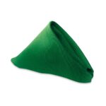 green napkin